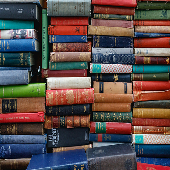 This is a picture of books neatly in a row
