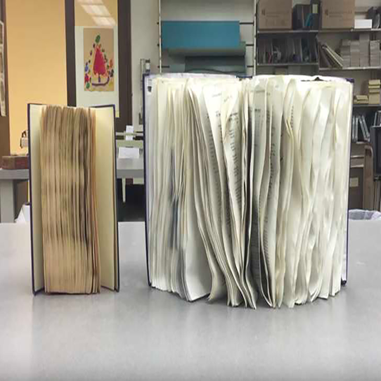 This is a picture of a book has been severely damaged by water